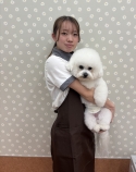 Shimada