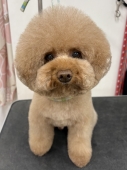 まん丸栗まんじゅうカット