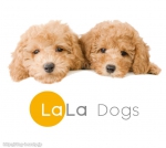 LaLa Dogs　三鷹店