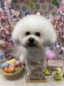 ふんわりカット