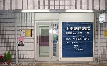 上田動物病院 ウエダドウブツビョウイン ペットサロン ペット美容室検索ドッグビューティー