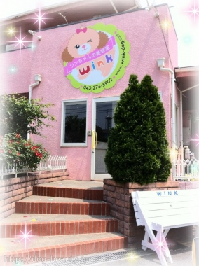 ワンちゃんの美容室 ｗｉｎｋ ワンチャンノビヨウシツウィンク ペットサロン ペット美容室検索ドッグビューティー
