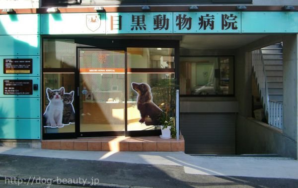 �ڍ������a�@