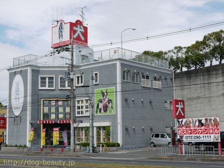 ボストンケンネル本店/ボストンケンネルホンテン|ペットサロン ...