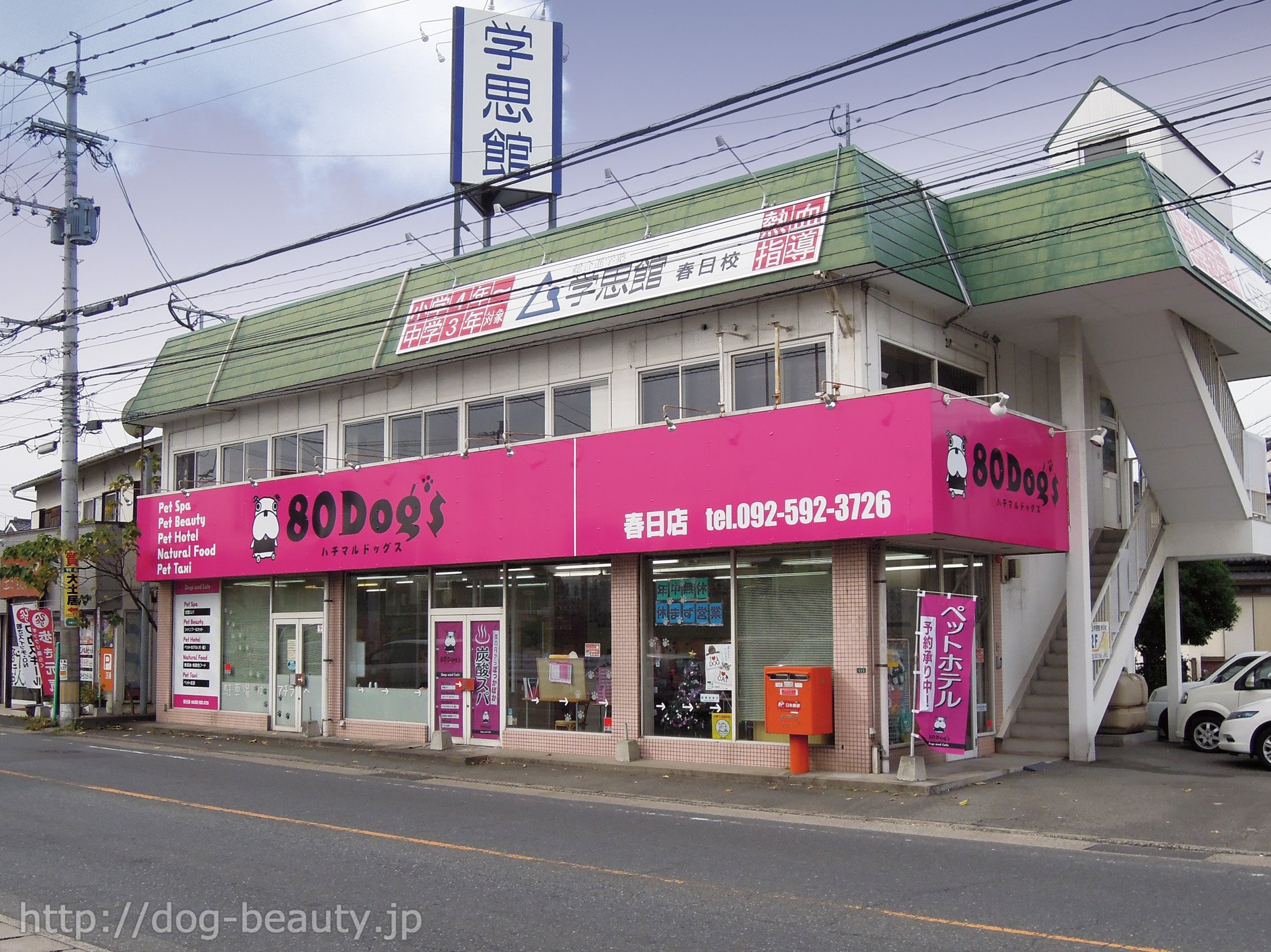 80Dog's �t���X