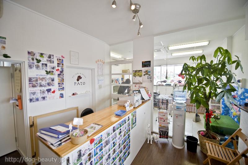 PET CARE & SALON@PATO