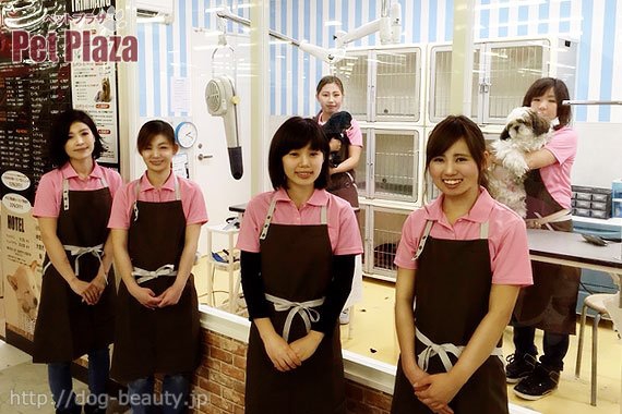 Petplaza ペットプラザ高槻城西店 ペットプラザタカツキジョウサイ ペットサロン ペット美容室検索ドッグビューティー