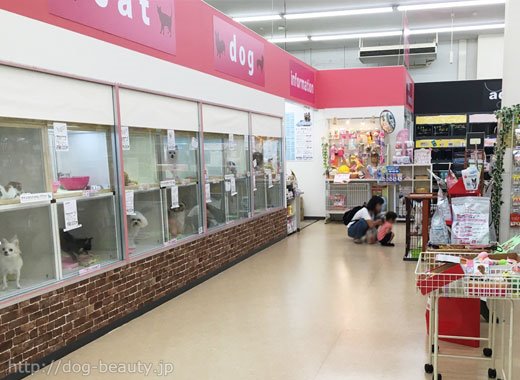Petplaza ペットプラザ高槻上牧店 ペットプラザ タカツキカンマキテン ドッグスタイル ペットサロン ペット美容室検索ドッグビューティー Petplaza ペットプラザ高槻上牧店 ペットプラザ タカツキカンマキテン ドッグスタイル ペットサロン ペット美容室検索ドッグビューティー