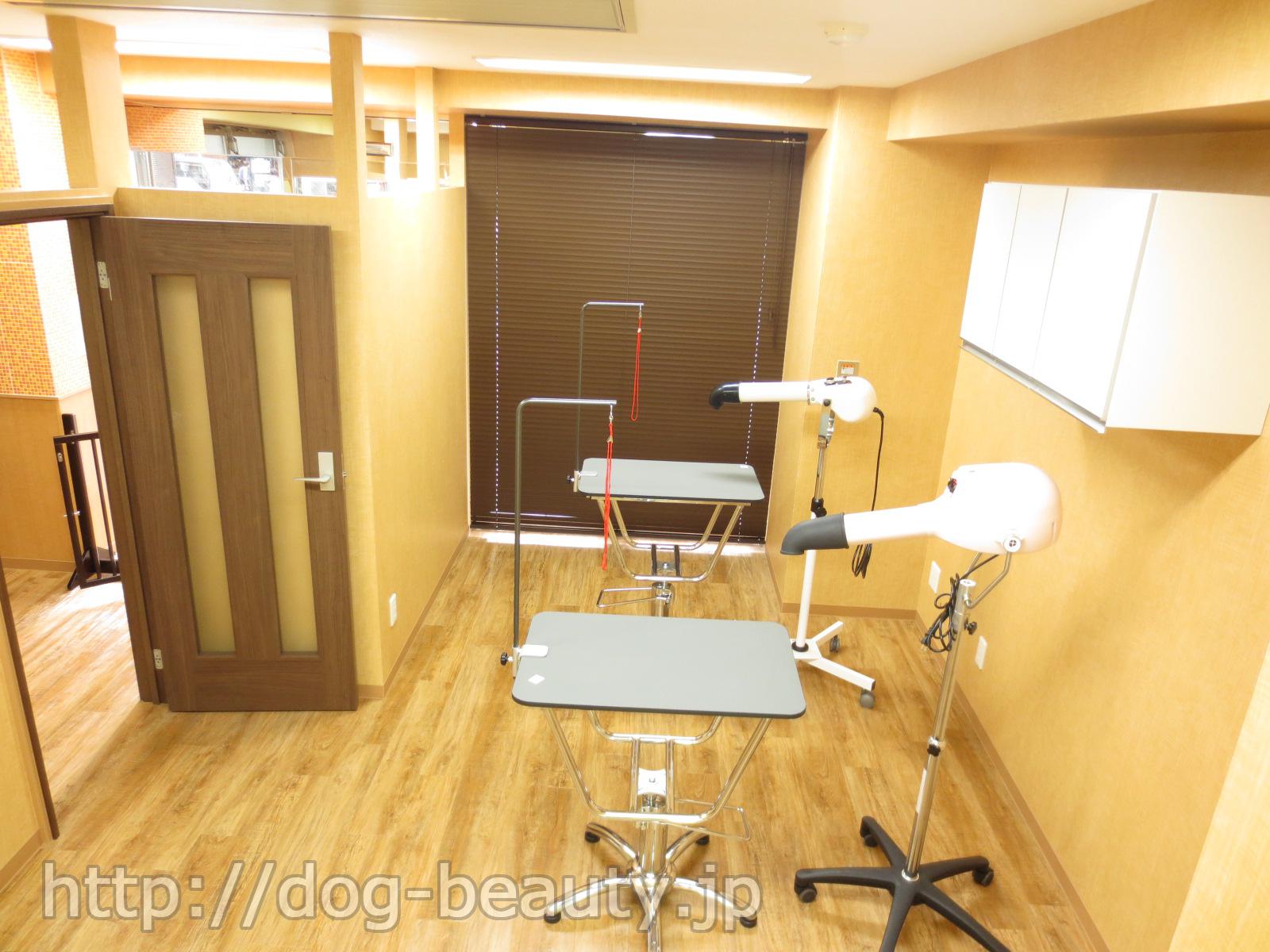 DOG SALON AndPaw