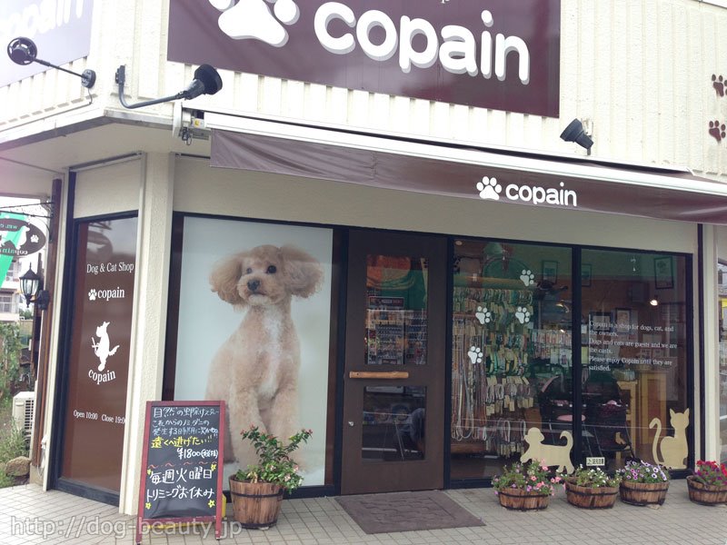 Dog&Cat Shop copain