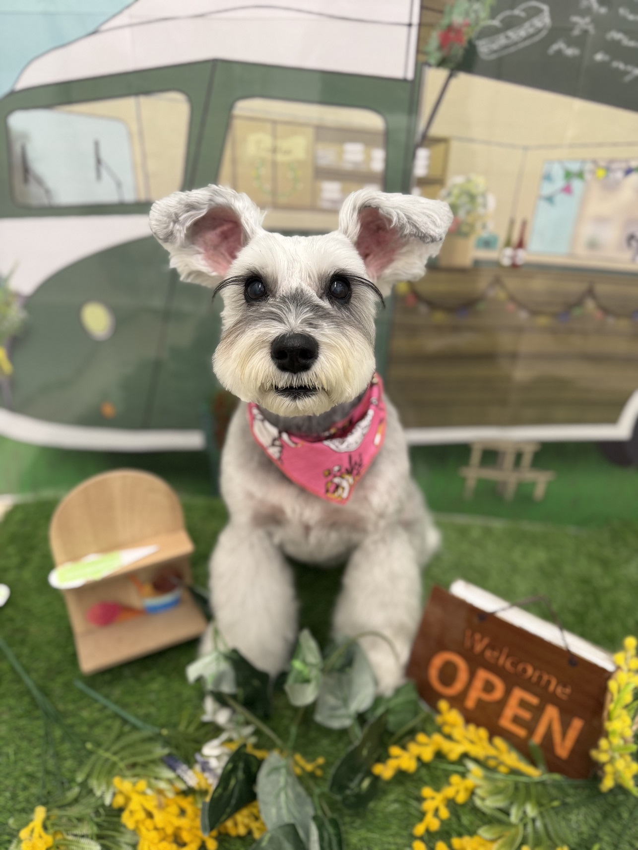 �Ԃ����J�b�g