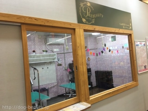ペットショップcoo Riku イオン野々市南店 ペットショップクーアンドリク イオンノノイチミナミテン ペットサロン ペット美容室検索ドッグビューティー