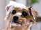 Awa-Spa AXp@N[|