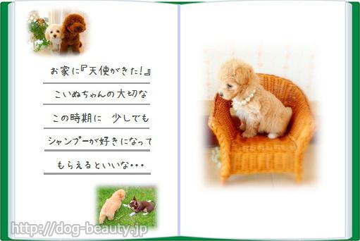 犬のトリミング ようちえん Puppy トリミング イヌノヨウチエン パピー ペットサロン ペット美容室検索ドッグビューティー