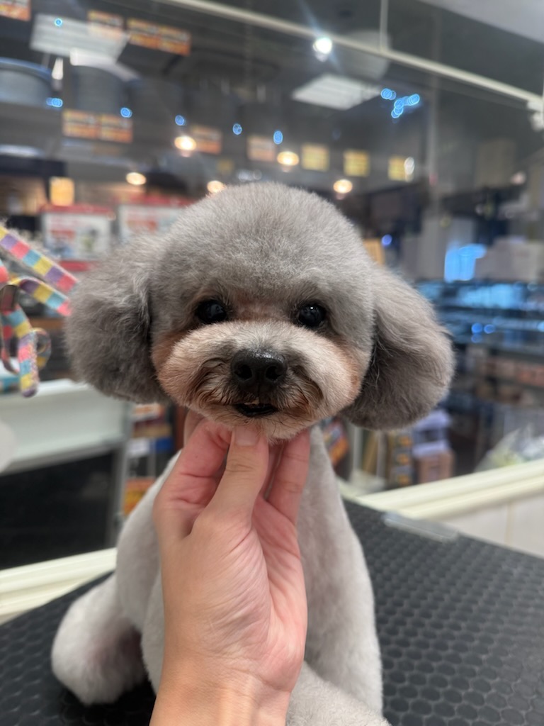 �X�b�L���e�f�B