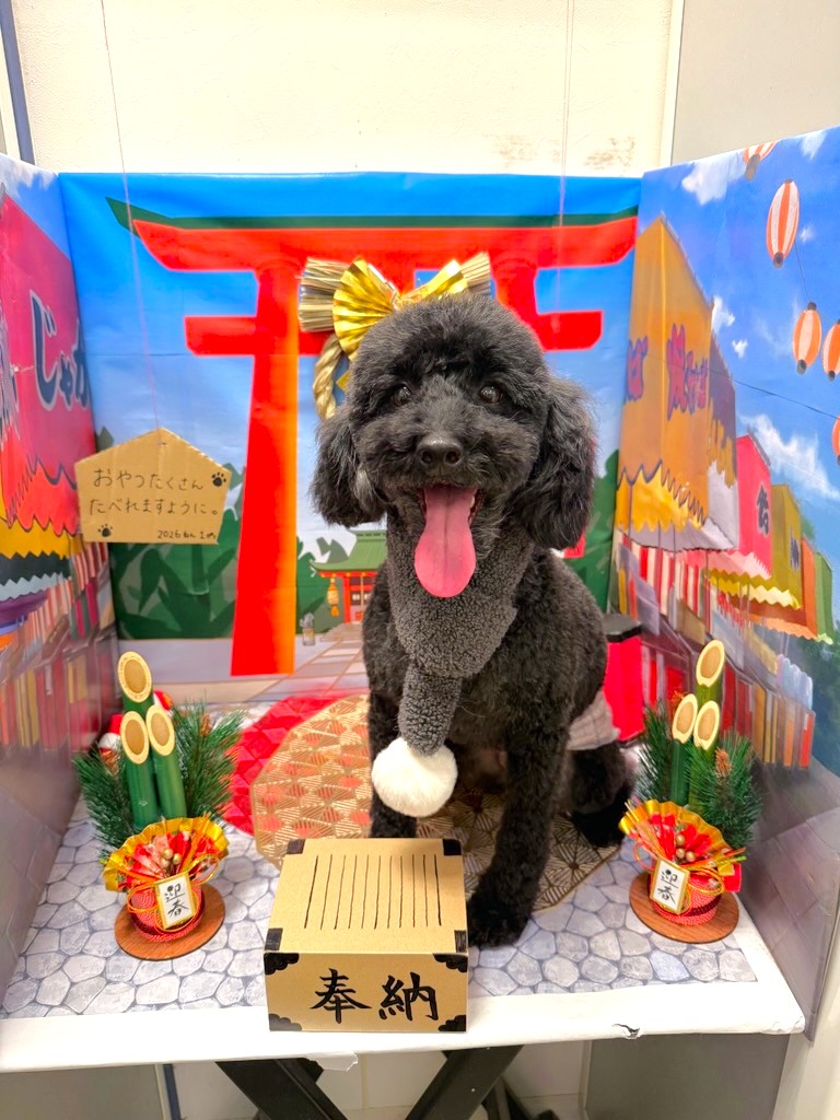 ��������s�[�i�b�c�J�b�g