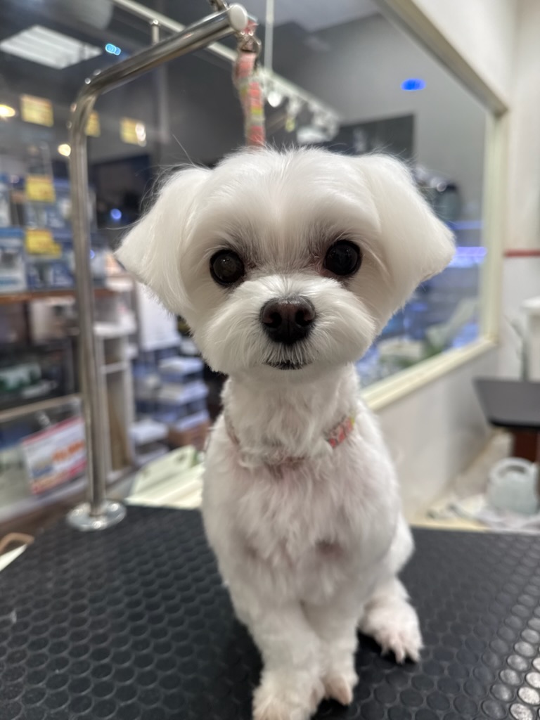 �X�b�L���e�f�B