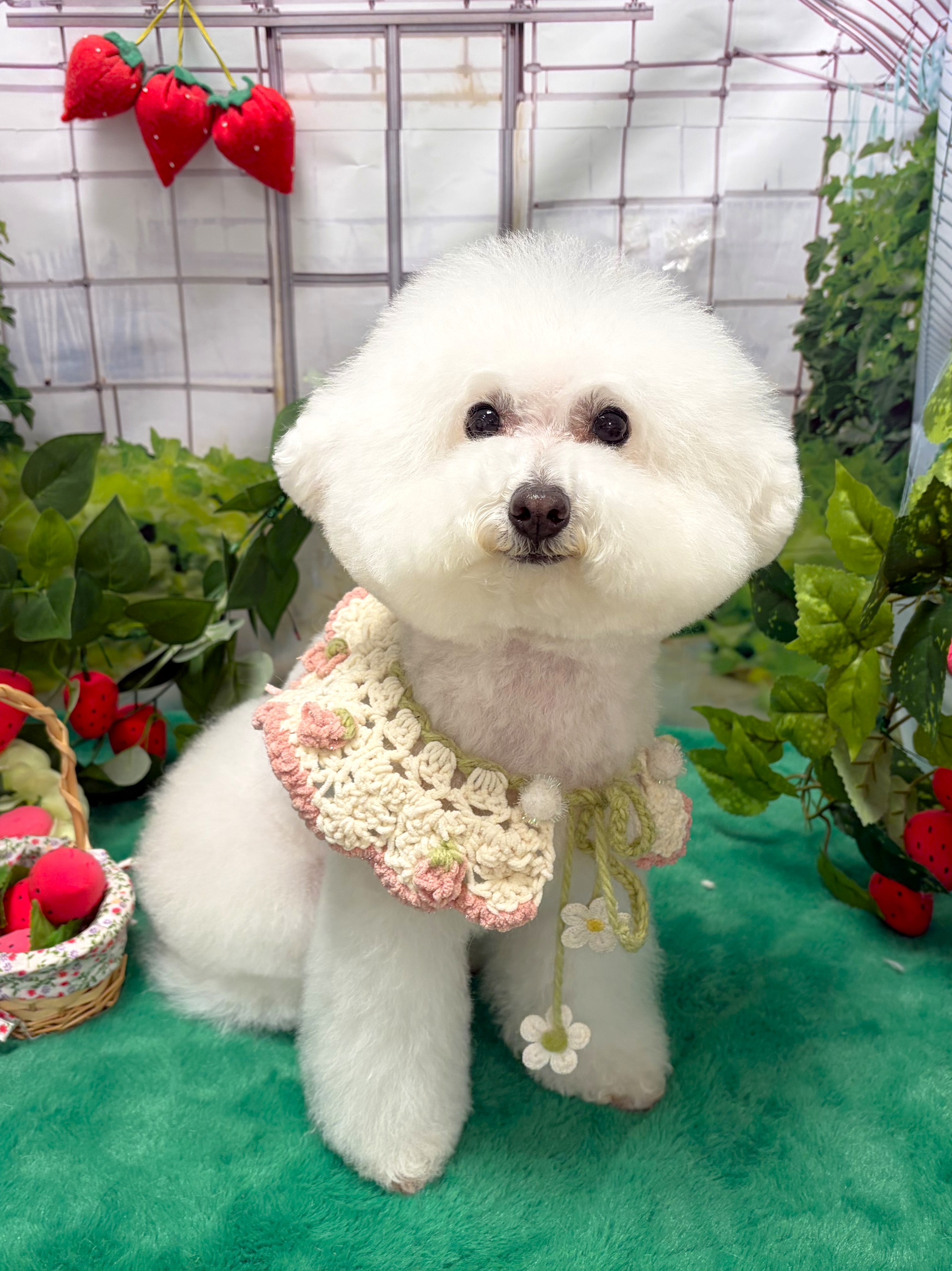 ���ς���u�[�c�J�b�g�I