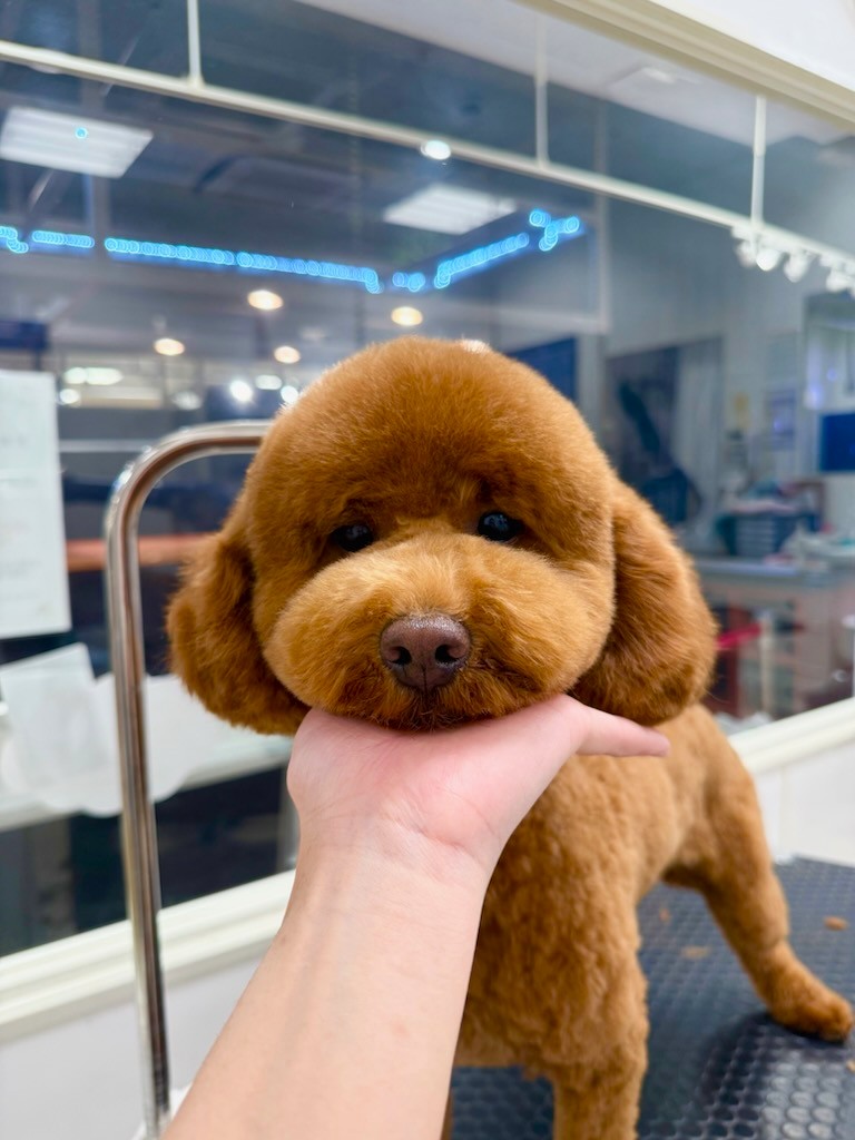 �N�}����J�b�g