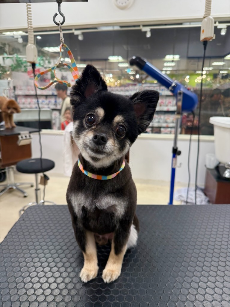 �܂�ێăJ�b�g