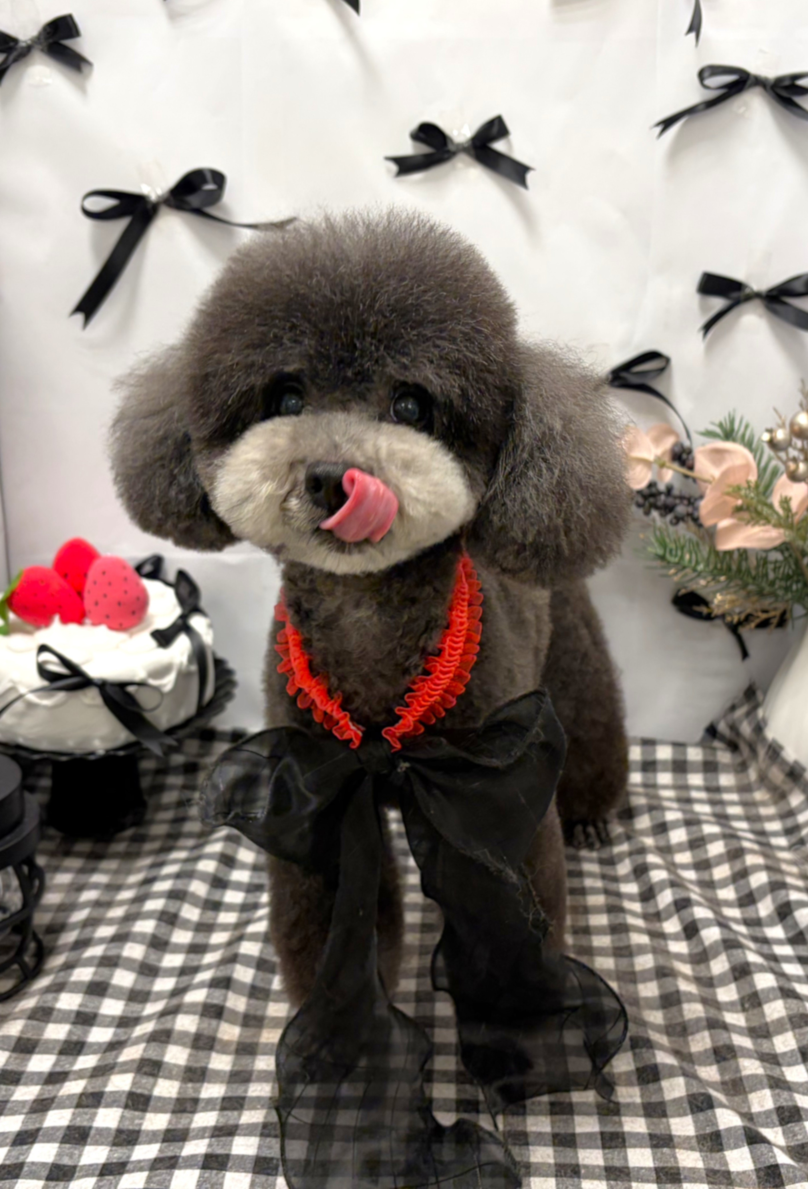 ����܂�܂�e�f�B�J�b�g�I