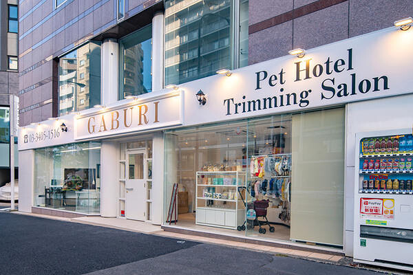 �y�b�g�z�e���E�T���� ��X��GABURI