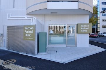 Racoon Animal Clinic ラクーン アニマル クリニック ペットサロン ペット美容室検索ドッグビューティー