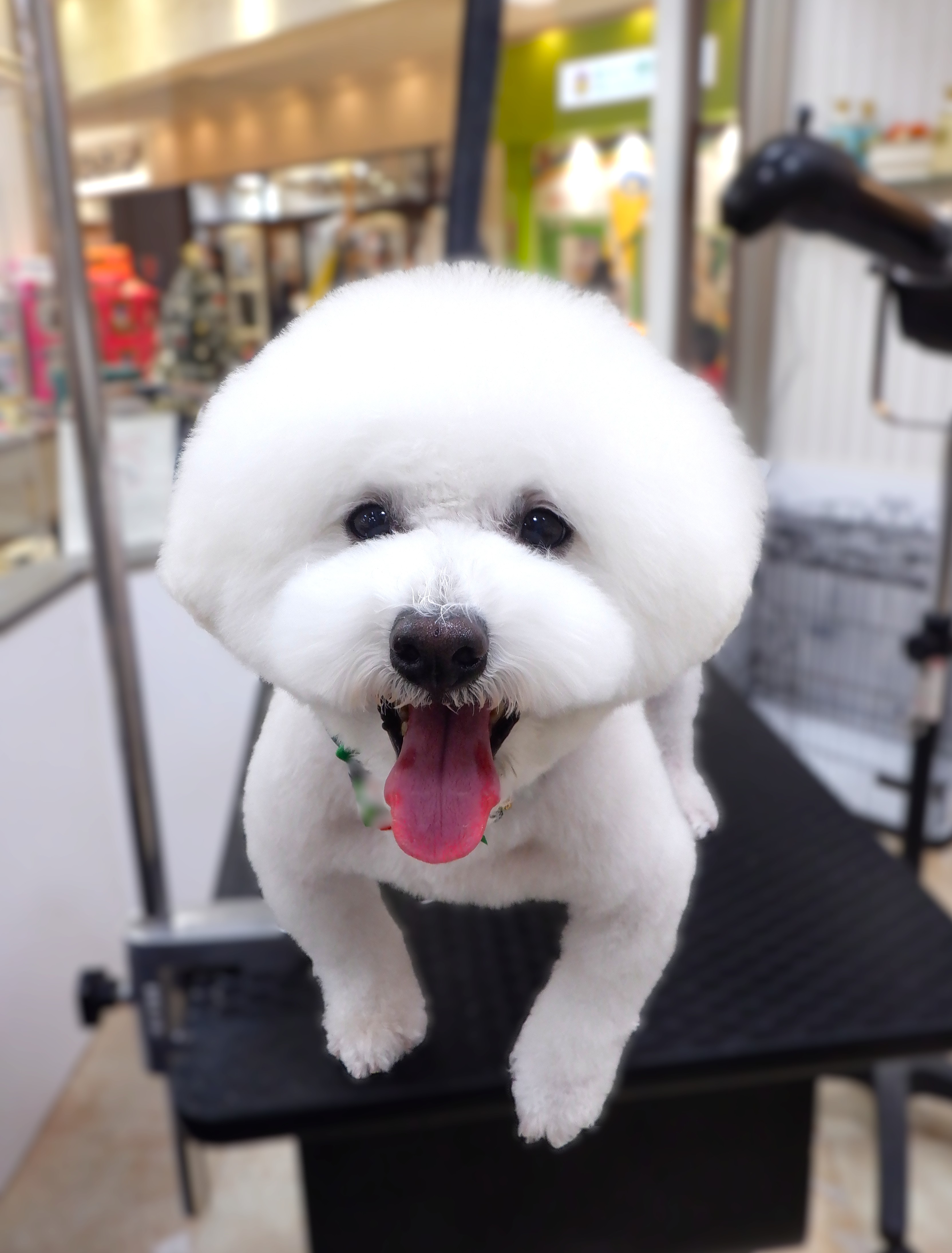 ���R����J�b�g