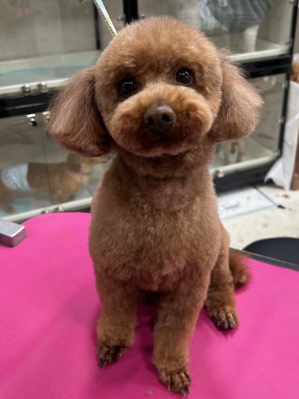 �܂�܂邨��J�b�g