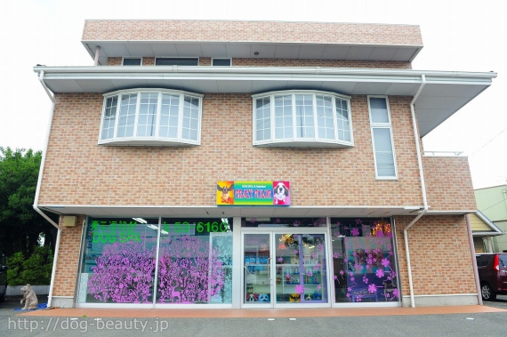 Crazy Color 下地店 クレイジカラーシモジテン ペットサロン ペット美容室検索ドッグビューティー