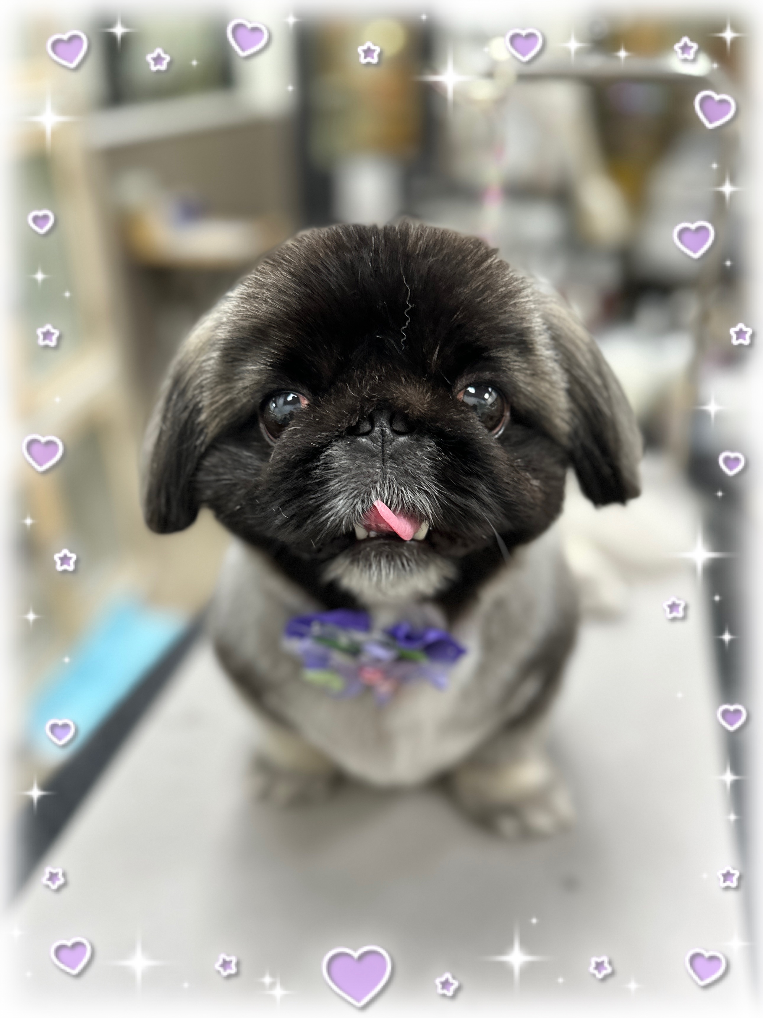 �܂�܂�y�L�J�b�g