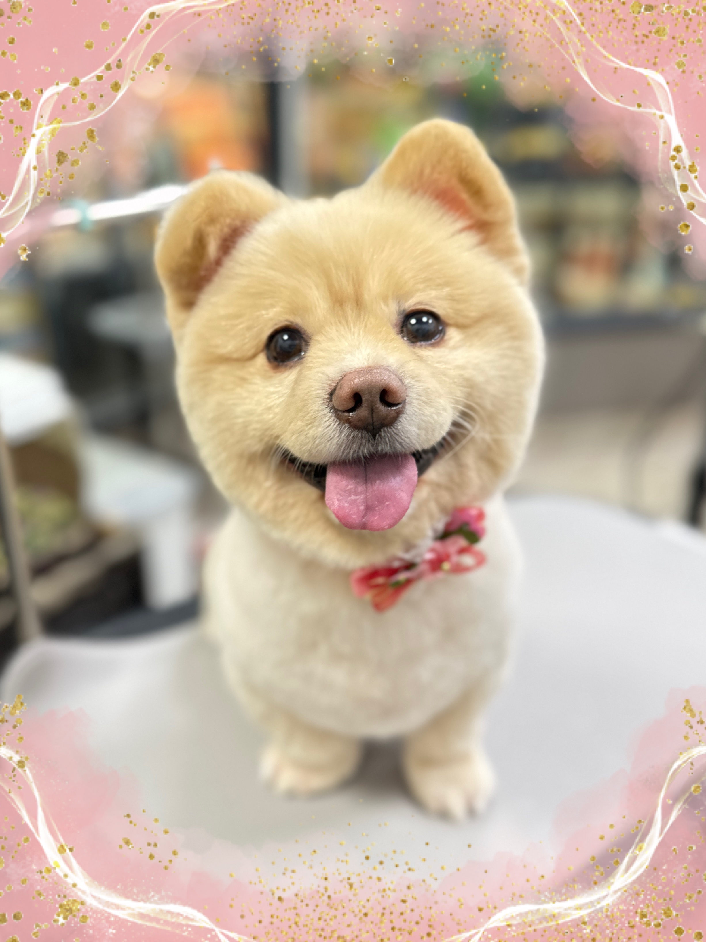 ����܂�ۃJ�b�g