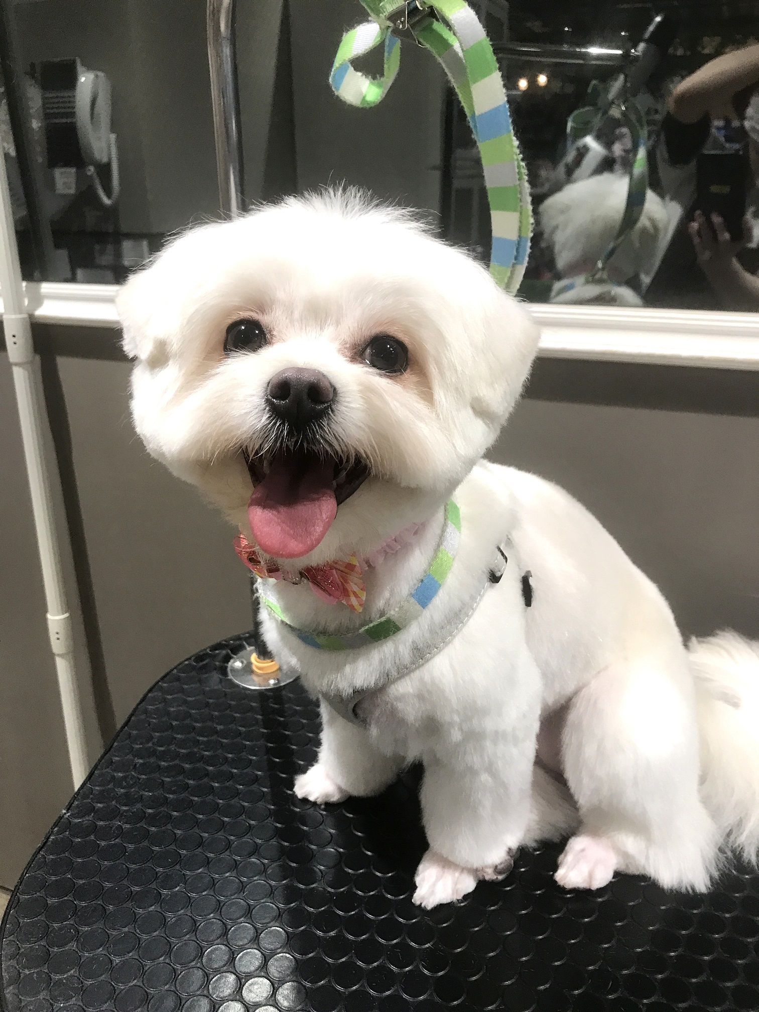 �ӂ���J�b�g