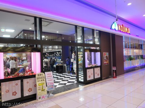 ペットのコジマ アリオ西新井店 ペットノコジマ アリオニシアライテン ペットサロン ペット美容室検索ドッグビューティー