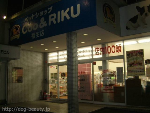 ペットショップcoo Riku 福生店 ペットショップクーアンドリク フッサテン ペットサロン ペット美容室検索ドッグビューティー