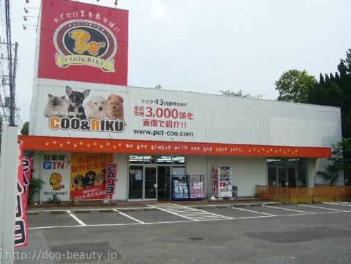 ペットショップcoo Riku 市原店 ペットショップクーアンドリク イチハラテン ペットサロン ペット美容室検索ドッグビューティー