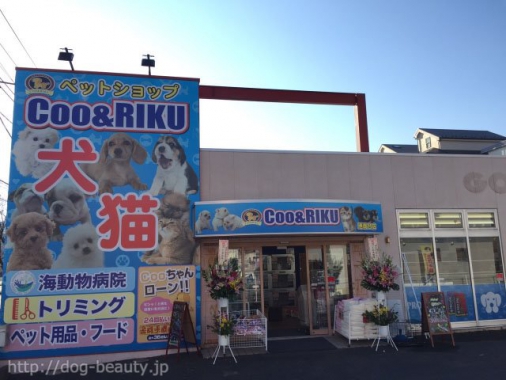 ペットショップcoo Riku 横浜港南台店 ペットショップクーアンドリク ヨコハマコウナンダイテン ペットサロン ペット美容室検索ドッグビューティー