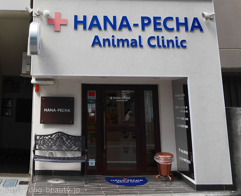 HANA-PECHA Animal Clinic/ハナペチャアニマルクリニック｜アクセス ペットサロン・ペット美容室検索ドッグビューティー