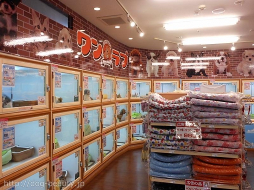 ワンラブ ドン キホーテ西宮店 ワンラブ ドンキホーテニシノミヤテン ペットサロン ペット美容室検索ドッグビューティー