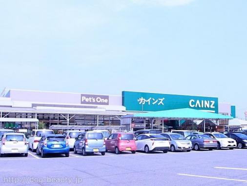 ワンラブカインズホーム高崎東部店 ワンラブカインズホームタカサキトウブテン ペットサロン ペット美容室検索ドッグビューティー