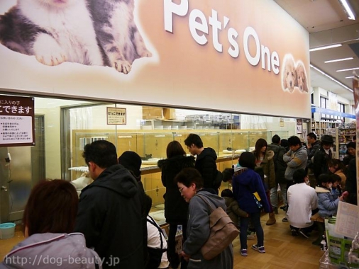 ワンラブカインズホーム白河モール店 ワンラブカインズホームシラカワテン ペットサロン ペット美容室検索ドッグビューティー