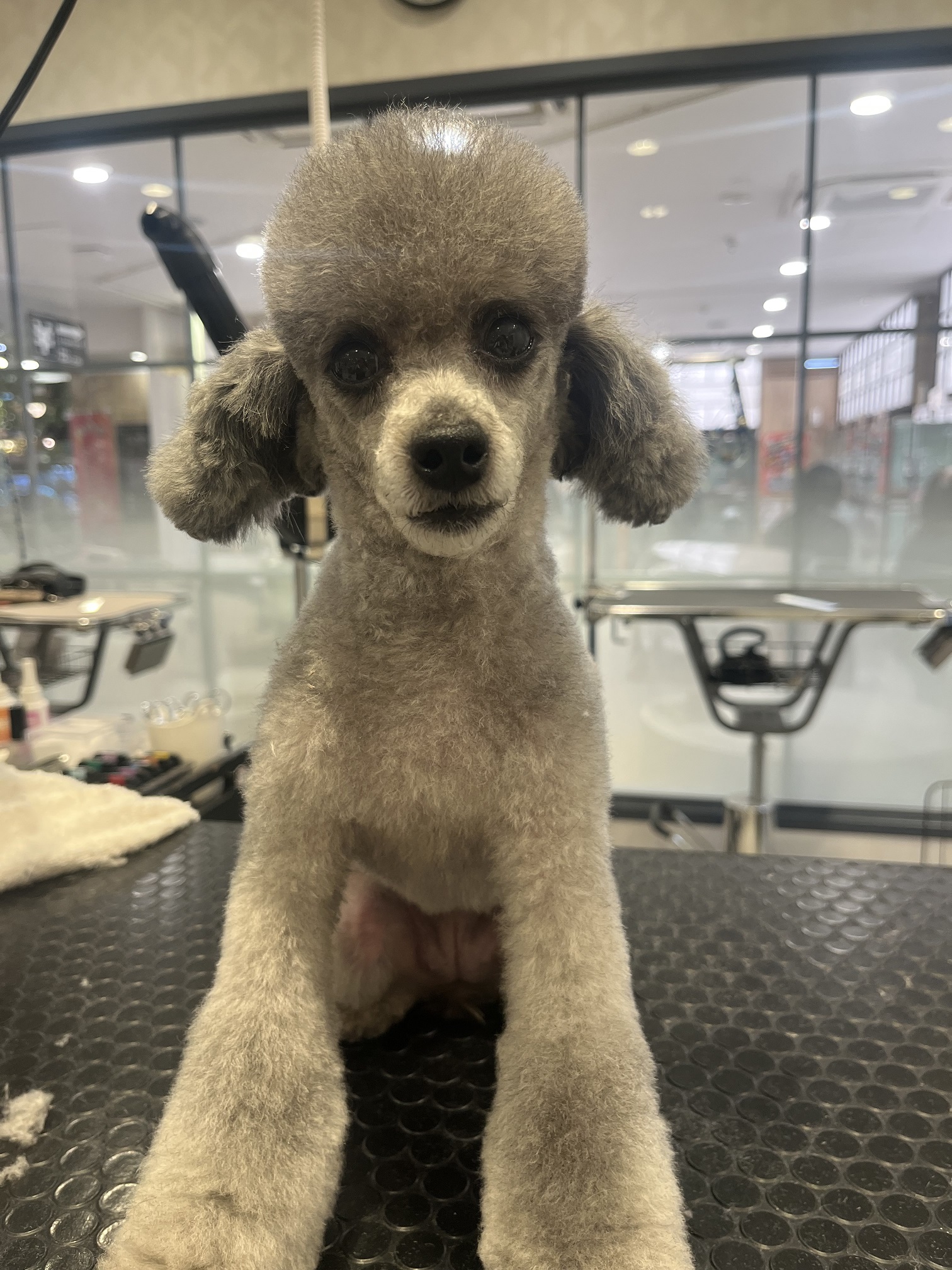 �n�T�~�Ŋ�o�����J�b�g