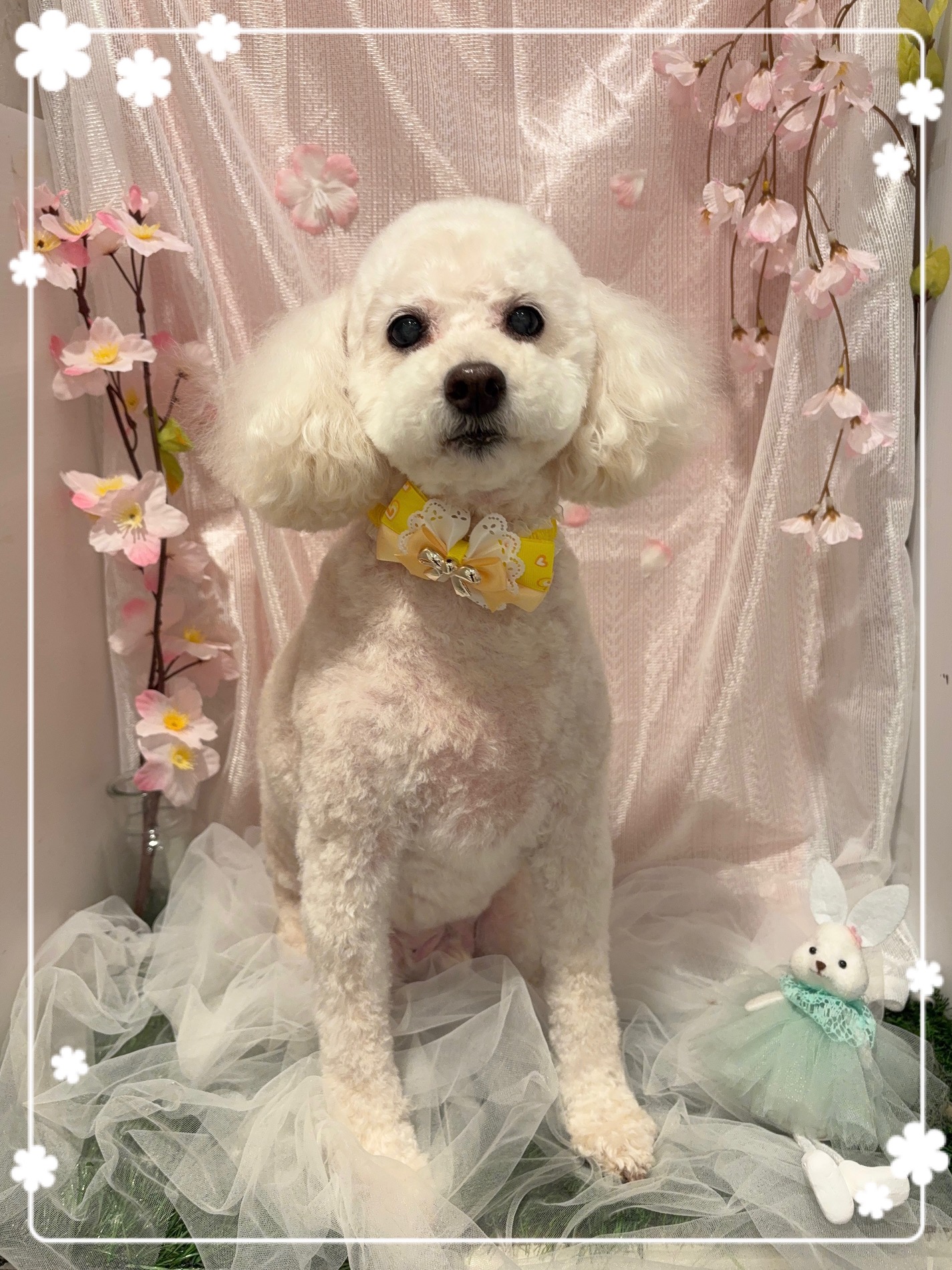 �T�}�[�J�b�g