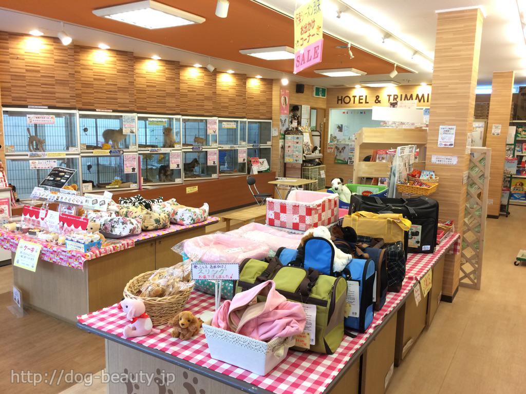 センチュリー ペット 練馬 平和台 ストア 店