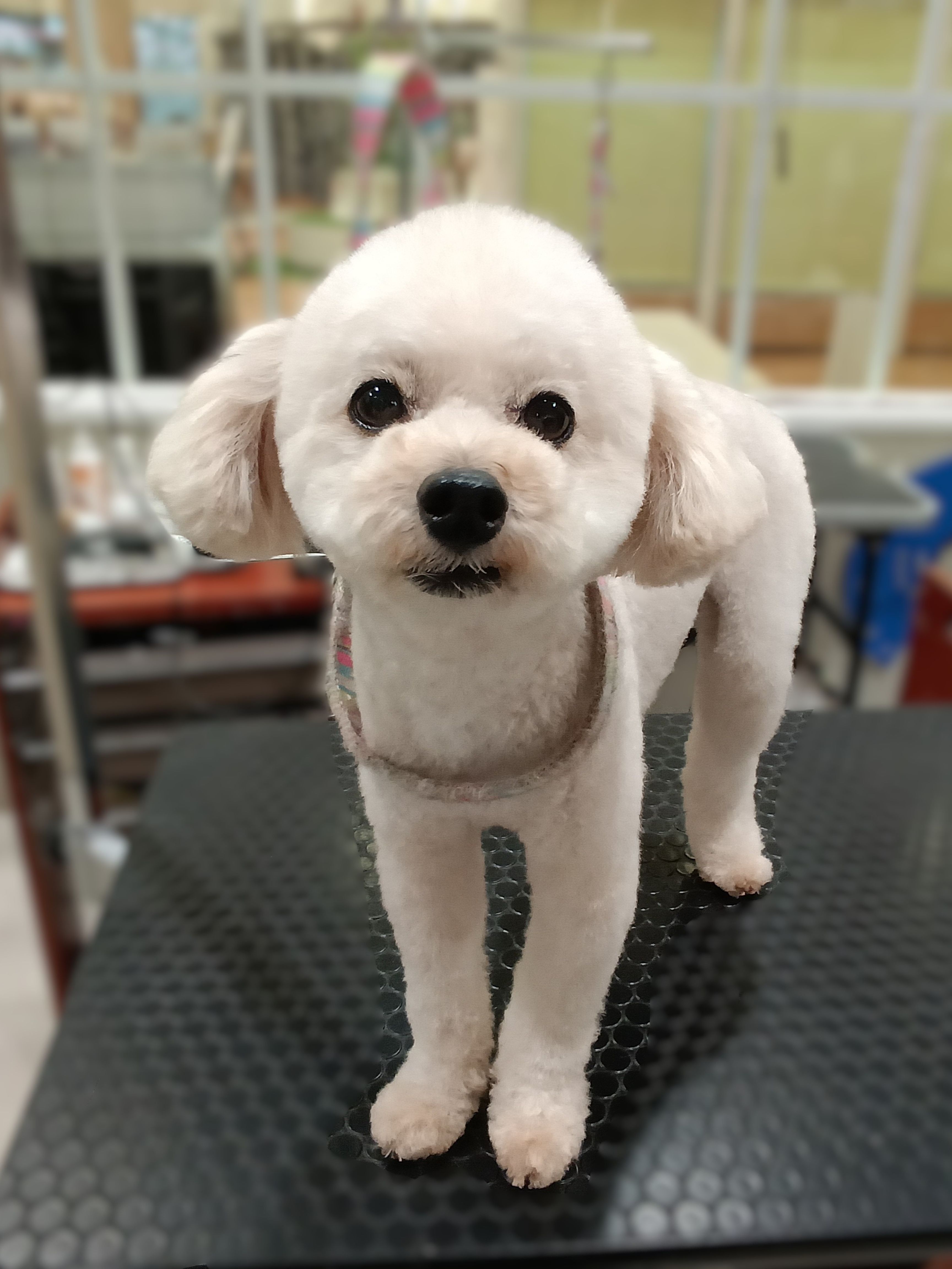 �X�b�L���Ƃ񂪂�e�f�B