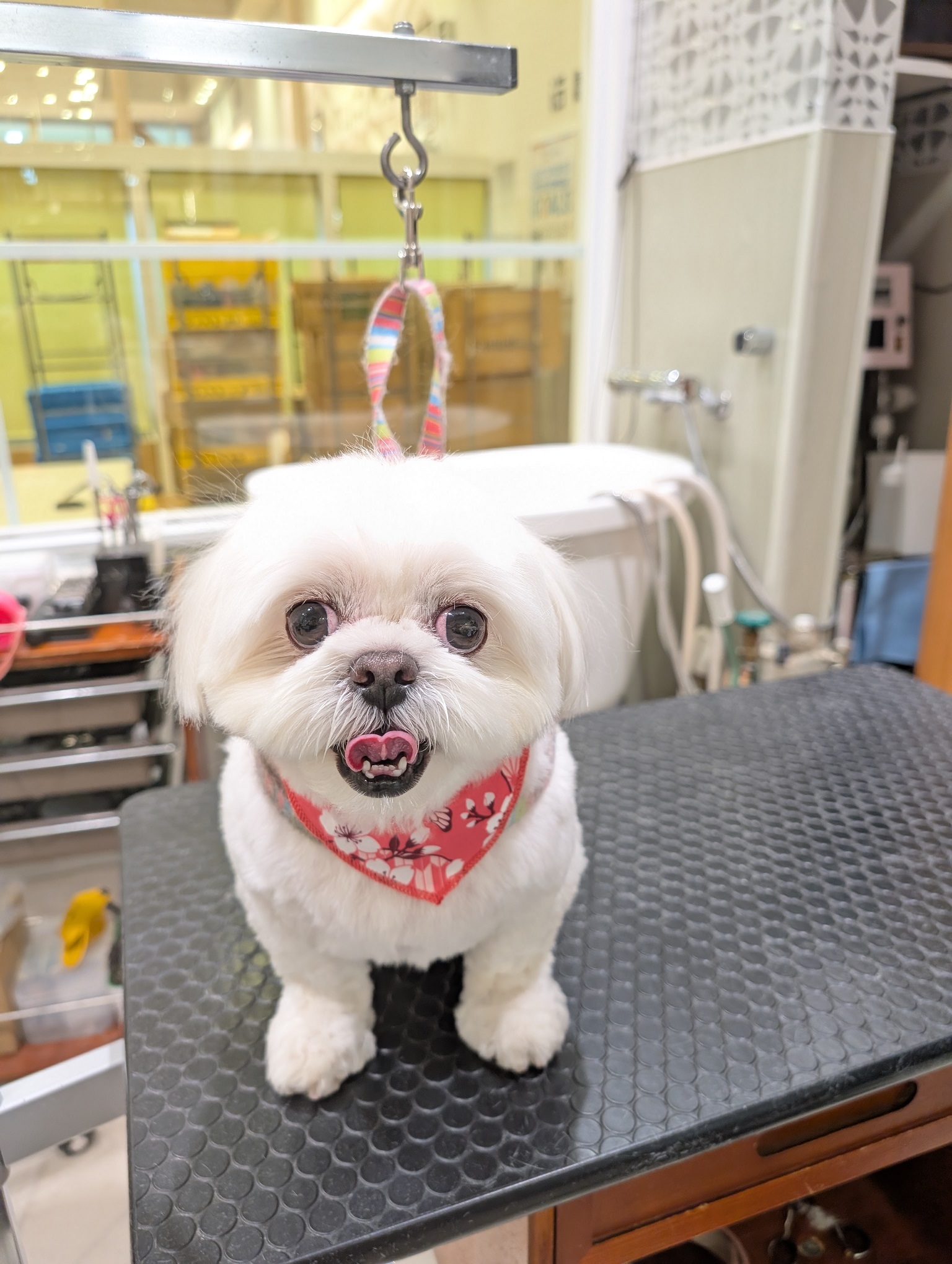 �܂�݁��\�������