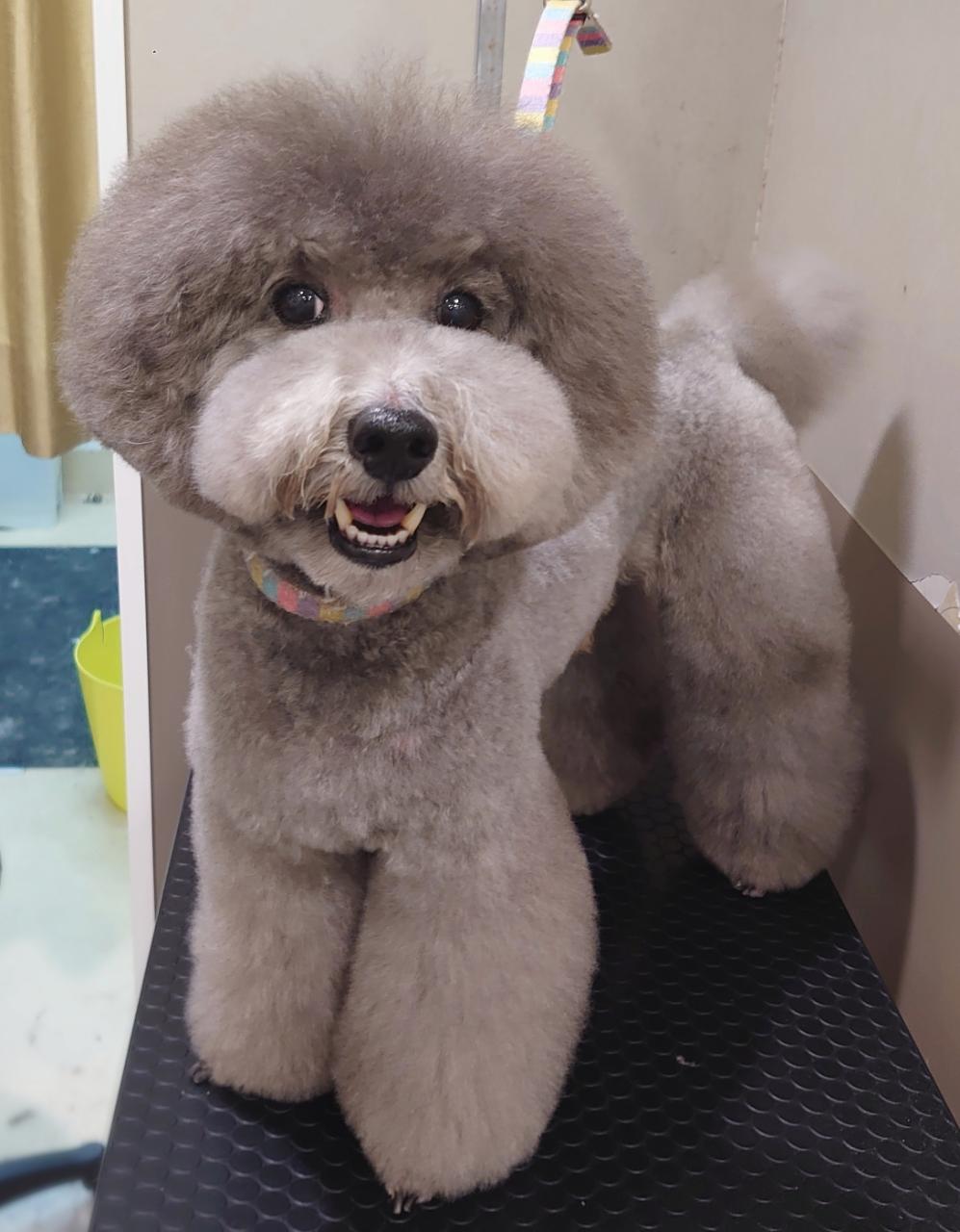 ���Ɠ��Ȃ��u�[�c�X�^�C��