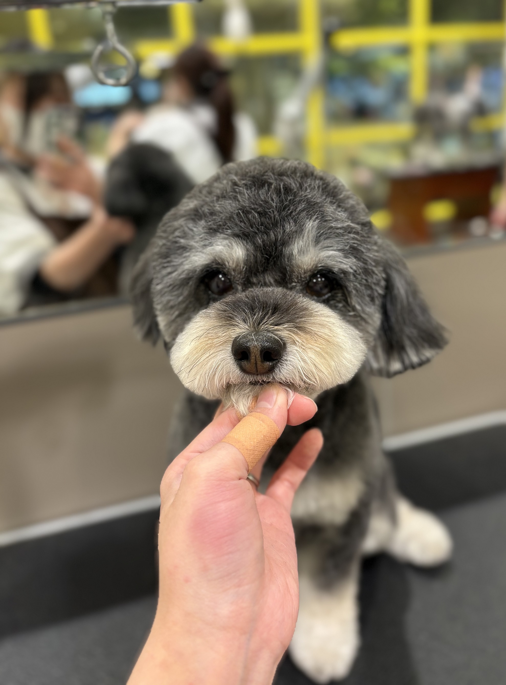 �X�b�L���ӂ���e�f�B�x�A