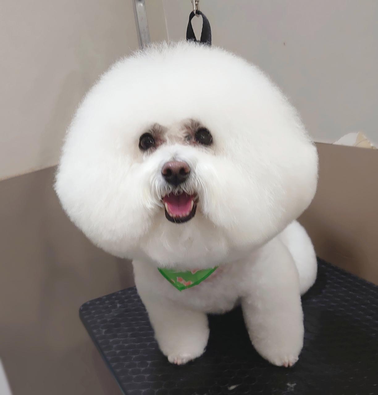 �̃X�b�L���߂��ӂ��ƃr�V�����J�b�g