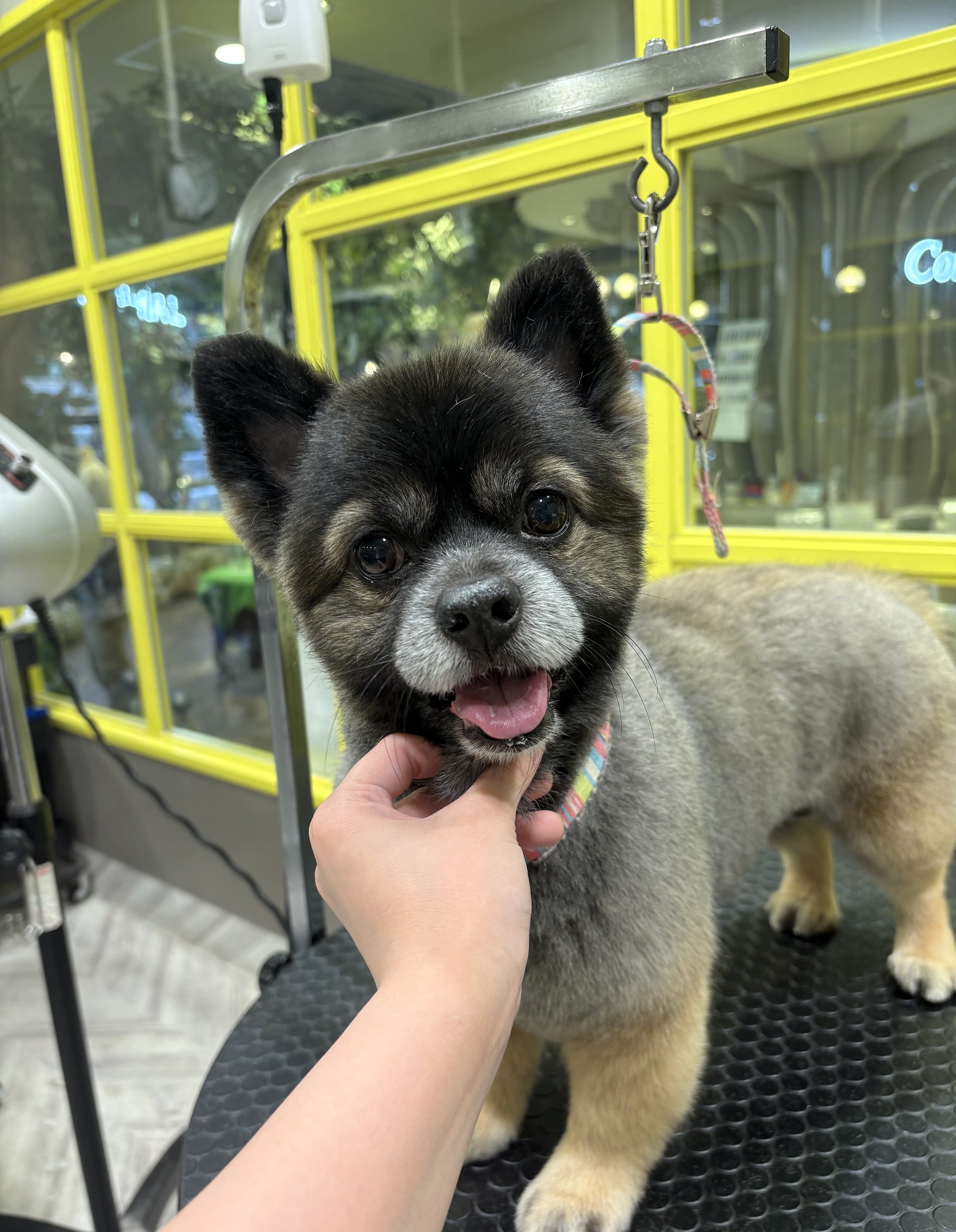 ���C�`����J�b�g